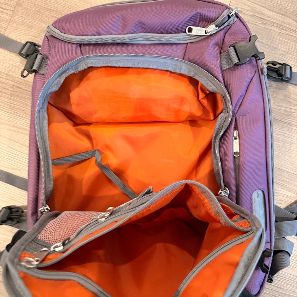 eBags Mother Lode Convertible Backpack Purple Travel Luggage Tote - Picture 4 of 12